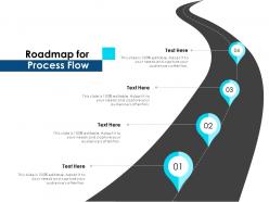 Roadmap for process flow ppt powerpoint presentation