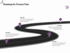 Roadmap for process flow stage shows management firm ppt guidelines