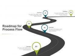 Roadmap for process flow timeline ppt powerpoint presentation outline visual aids