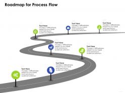 Roadmap For Process Flowe Business Management Ppt Mockup