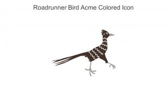 Roadrunner Bird Acme Colored Icon In Powerpoint Pptx Png And Editable Eps Format