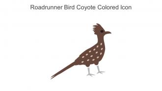 Roadrunner Bird Coyote Colored Icon In Powerpoint Pptx Png And Editable Eps Format