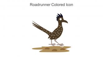 Roadrunner Colored Icon In Powerpoint Pptx Png And Editable Eps Format