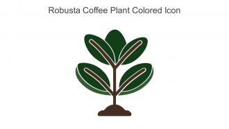 Robusta Coffee Plant Colored Icon In Powerpoint Pptx Png And Editable Eps Format