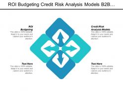 Roi budgeting credit risk analysis models b2b services cpb