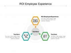 Roi employee experience ppt powerpoint presentation model guidelines cpb