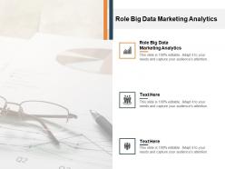 Role big data marketing analytics ppt powerpoint presentation portfolio tips cpb