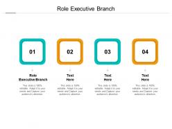 Role executive branch ppt powerpoint presentation pictures display cpb