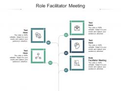 Role facilitator meeting ppt powerpoint presentation styles diagrams cpb