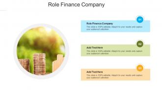 Role Finance Company In Powerpoint And Google Slides Cpb