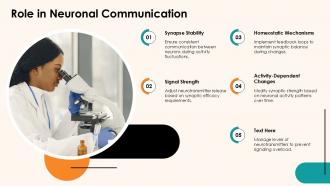 Role In Neuronal Communication PPT Sample ACP