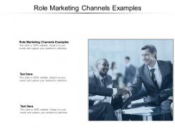 Role marketing channels examples ppt powerpoint presentation summary examples cpb