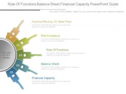 Role of functions balance sheet financial capacity powerpoint guide