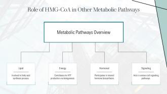 Role Of HMG Coa In Other Metabolic Pathways PPT Sample ST AI SS