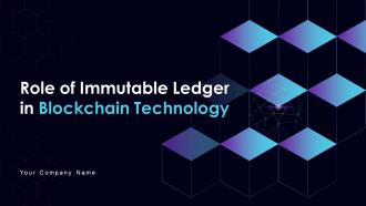 Role Of Immutable Ledger In Blockchain Technology BCT CD