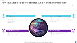 Role Of Immutable Ledger In Blockchain Technology BCT CD Unique Attractive