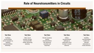 Role Of Neurotransmitters In Circuits Neuroscience PPT Information ACP