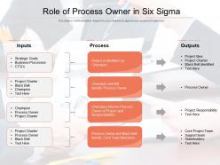 Role of process owner in six sigma