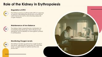 Role Of The Kidney In Erythropoiesis PPT Slides ACP