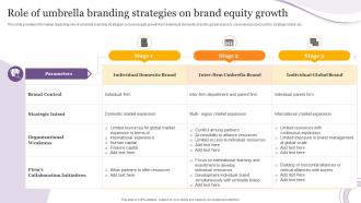Role Of Umbrella Branding Strategies On Brand Equity Growth Product Corporate And Umbrella Branding