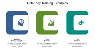 Role play training examples ppt powerpoint presentation infographics cpb