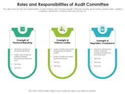 Roles and responsibilities of audit committee