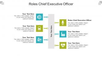 Roles chief executive officer ppt powerpoint presentation inspiration slide download cpb
