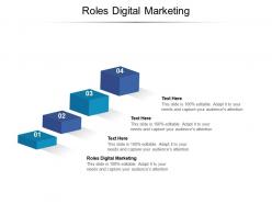 Roles digital marketing ppt powerpoint presentation pictures graphics tutorials cpb