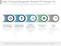 Roles in change management template ppt example file