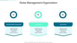 Roles Management Organization In Powerpoint And Google Slides Cpb