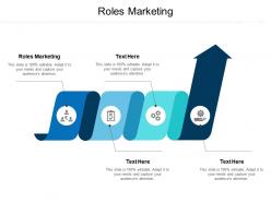 Roles marketing ppt powerpoint presentation infographics visual aids cpb