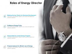 Roles of energy director business development ppt presentation pictures graphics