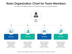 Roles organization chart for team members infographic template