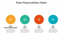 Roles responsibilities matrix ppt powerpoint presentation styles file formats cpb
