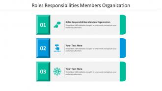 Roles responsibilities members organization ppt powerpoint presentation styles cpb