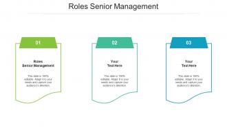 Roles senior management ppt powerpoint presentation tips cpb