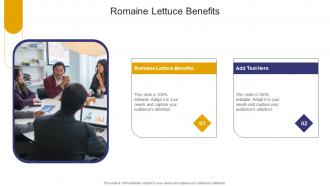Romaine Lettuce Benefits In Powerpoint And Google Slides Cpb