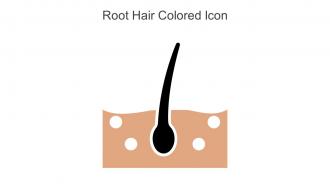 Root Hair Colored Icon In Powerpoint Pptx Png And Editable Eps Format
