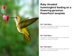 Ruby throated hummingbird feeding on a flowering geranium powerpoint template