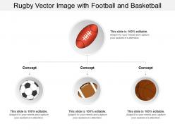 Rugby vector image with football and basketball