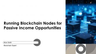 Running Blockchain Nodes For Passive Income Opportunities PPT Guidelines AT