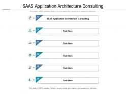 Saas application architecture consulting ppt powerpoint presentation show example introduction cpb