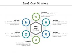 Saas cost structure ppt powerpoint presentation portfolio graphics tutorials cpb