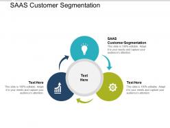 Saas customer segmentation ppt powerpoint presentation layouts graphics cpb