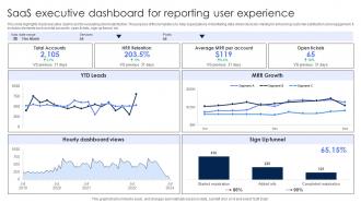 SaaS Executive Dashboard For Reporting User Experience