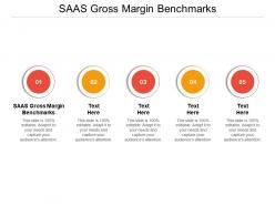 Saas gross margin benchmarks ppt powerpoint presentation visual aids background images cpb