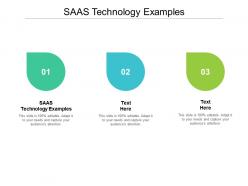 Saas technology examples ppt powerpoint presentation styles brochure cpb