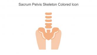 Sacrum Pelvis Skeleton Colored Icon In Powerpoint Pptx Png And Editable Eps Format
