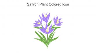 Saffron Plant Colored Icon In Powerpoint Pptx Png And Editable Eps Format