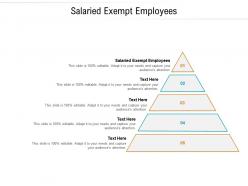 Salaried exempt employees ppt powerpoint presentation layouts rules cpb